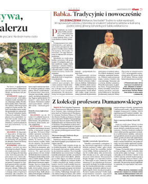 Wydanie główne - strona 23