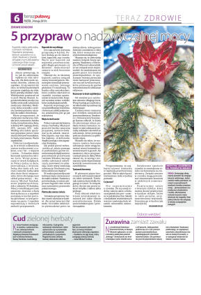 Teraz  Puławy - strona 6