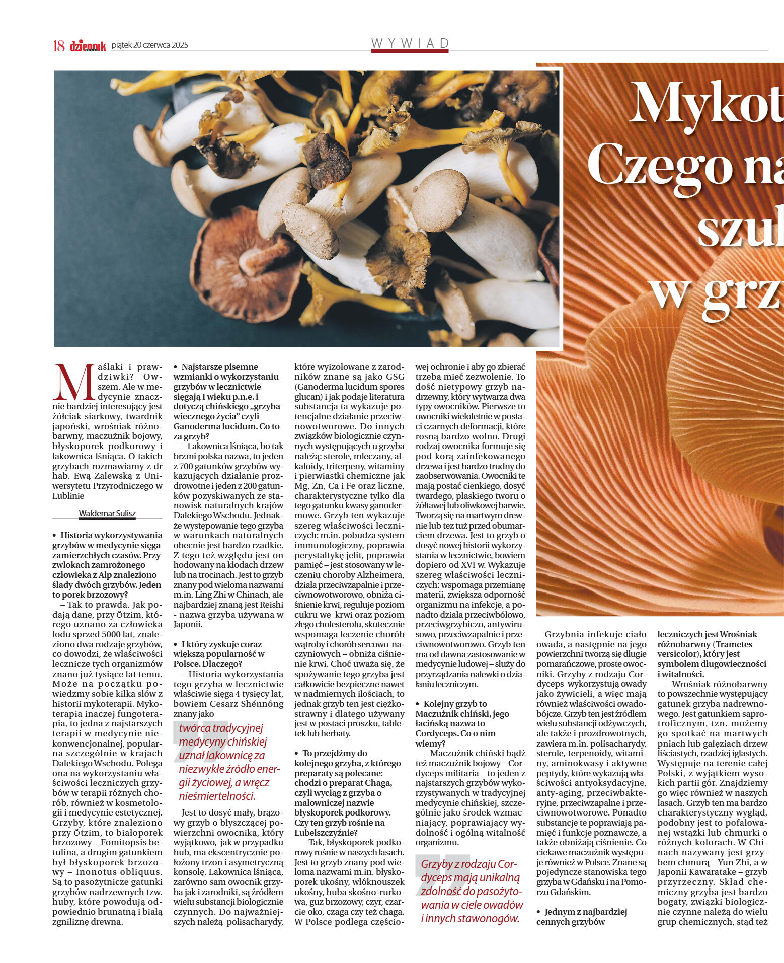 Wydanie główne - strona 18