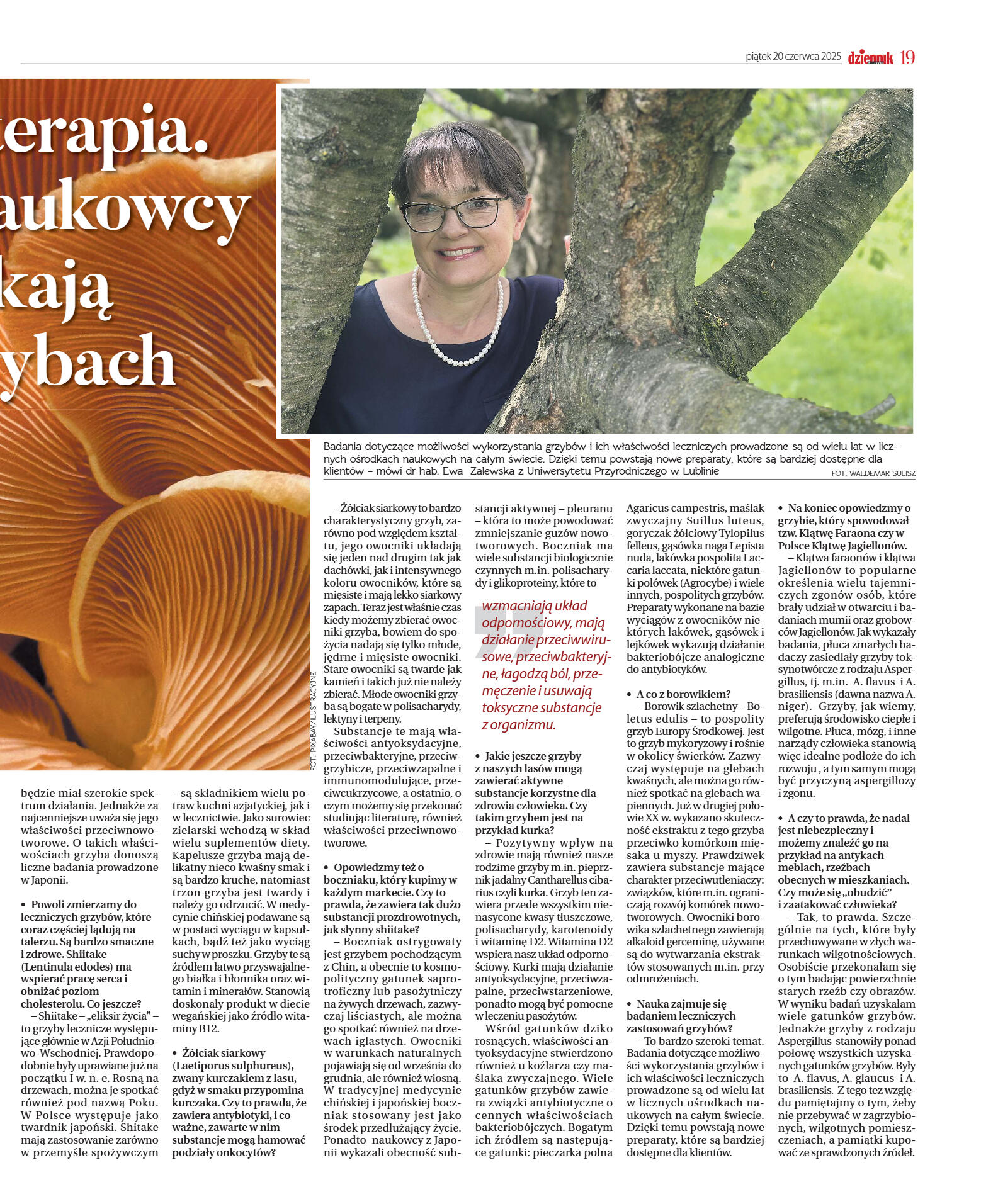 Wydanie główne - strona 19