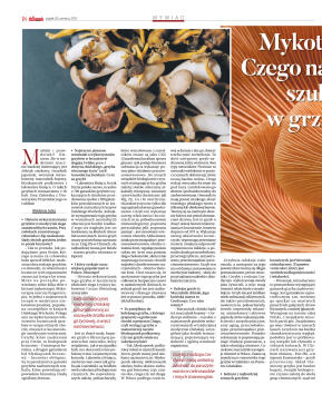 Wydanie główne - strona 18