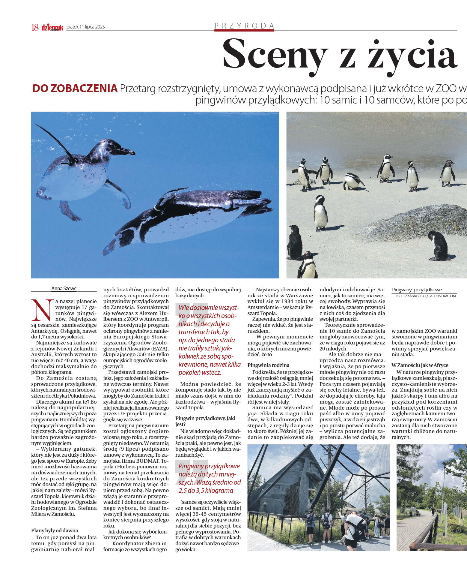 Wydanie główne - strona 18