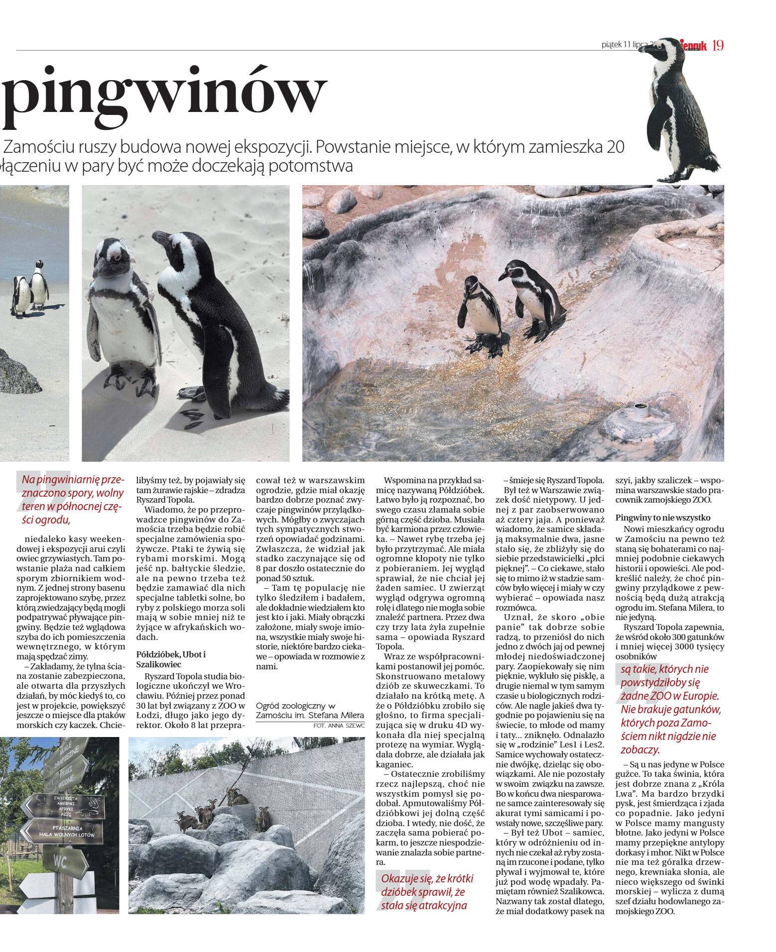 Wydanie główne - strona 19