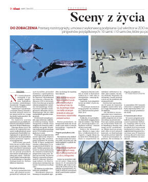 Wydanie główne - strona 18