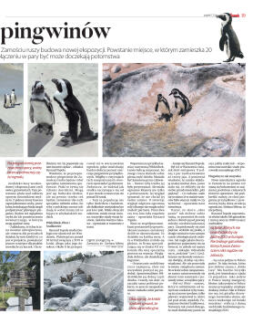 Wydanie główne - strona 19