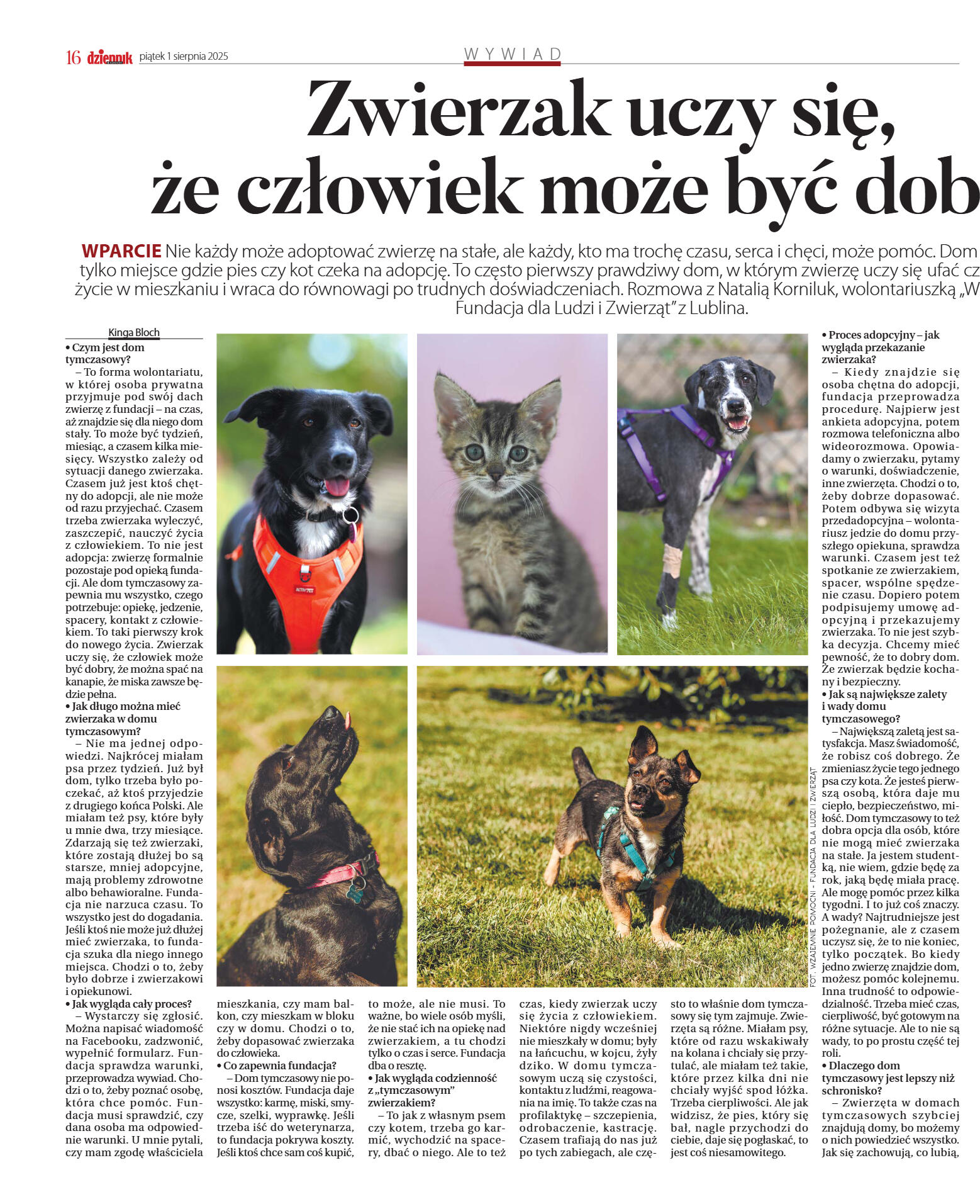 Wydanie główne - strona 16