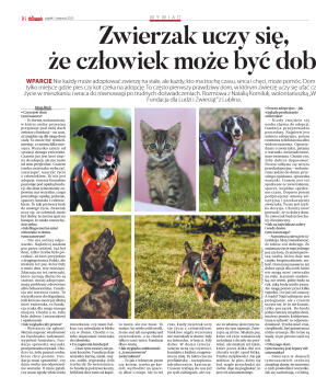 Wydanie główne - strona 16