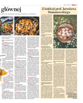 Wydanie główne - strona 23