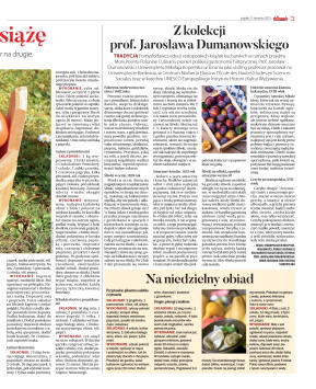 Wydanie główne - strona 21