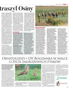 Wydanie główne - strona 5