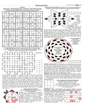 Wydanie główne - strona 25