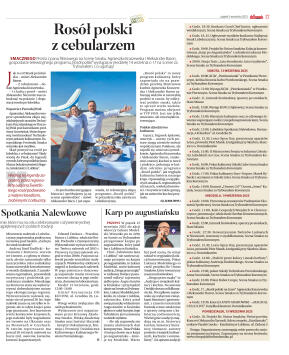 Wydanie główne - strona 17