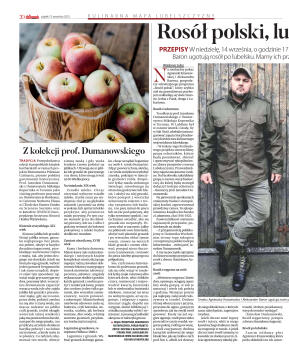 Wydanie główne - strona 20