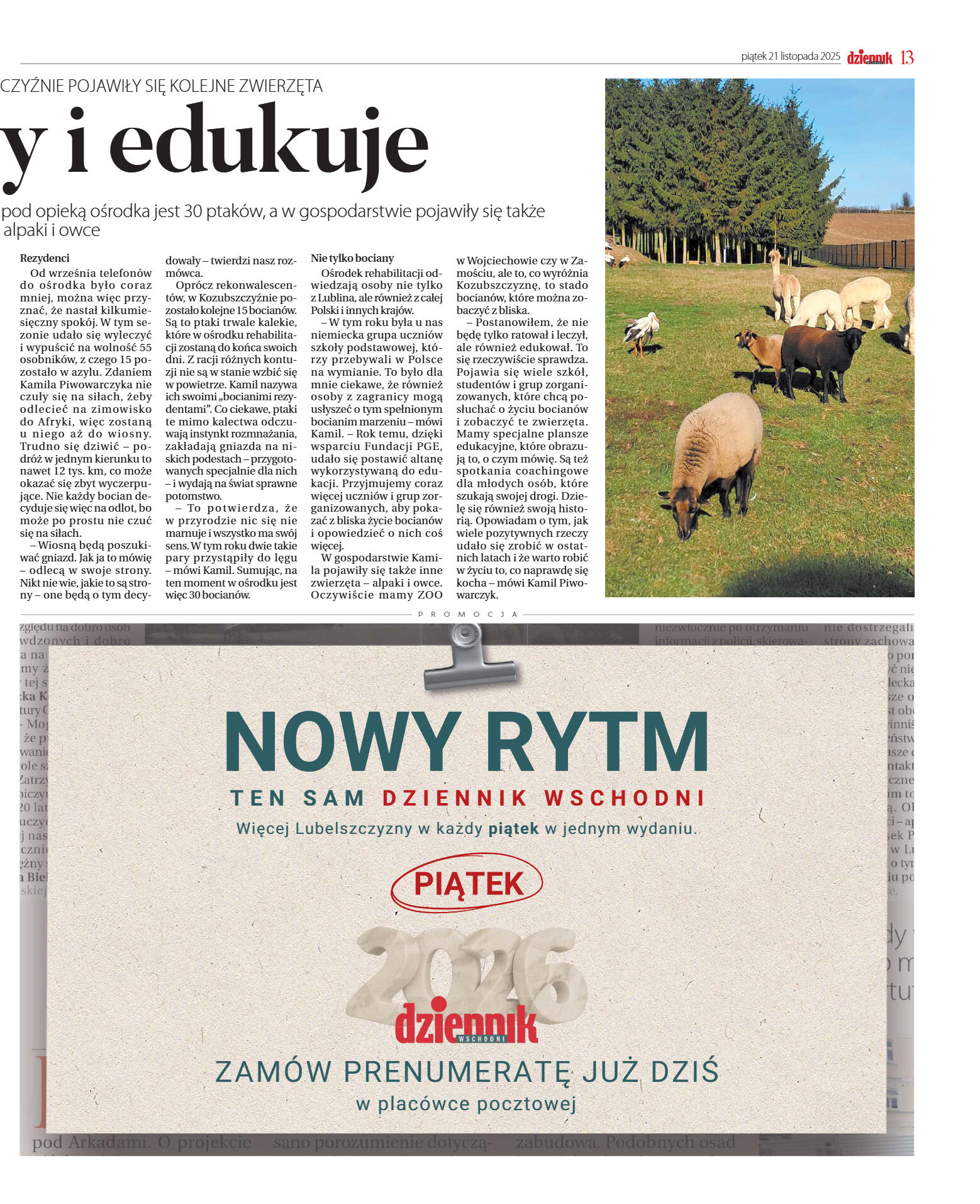 Wydanie główne - strona 13