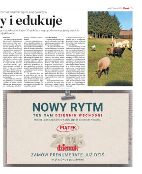 Wydanie główne - strona 13