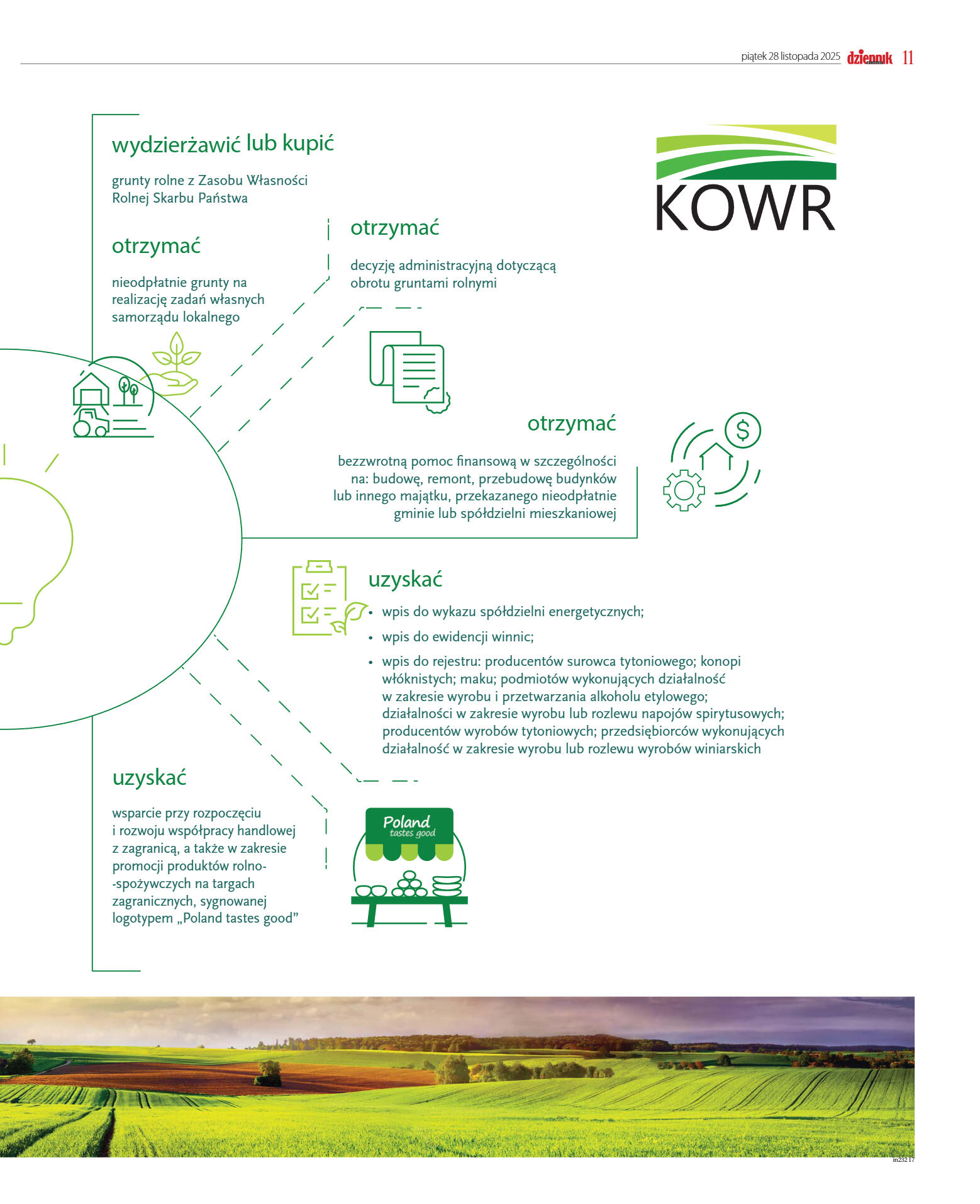 Wydanie główne - strona 17