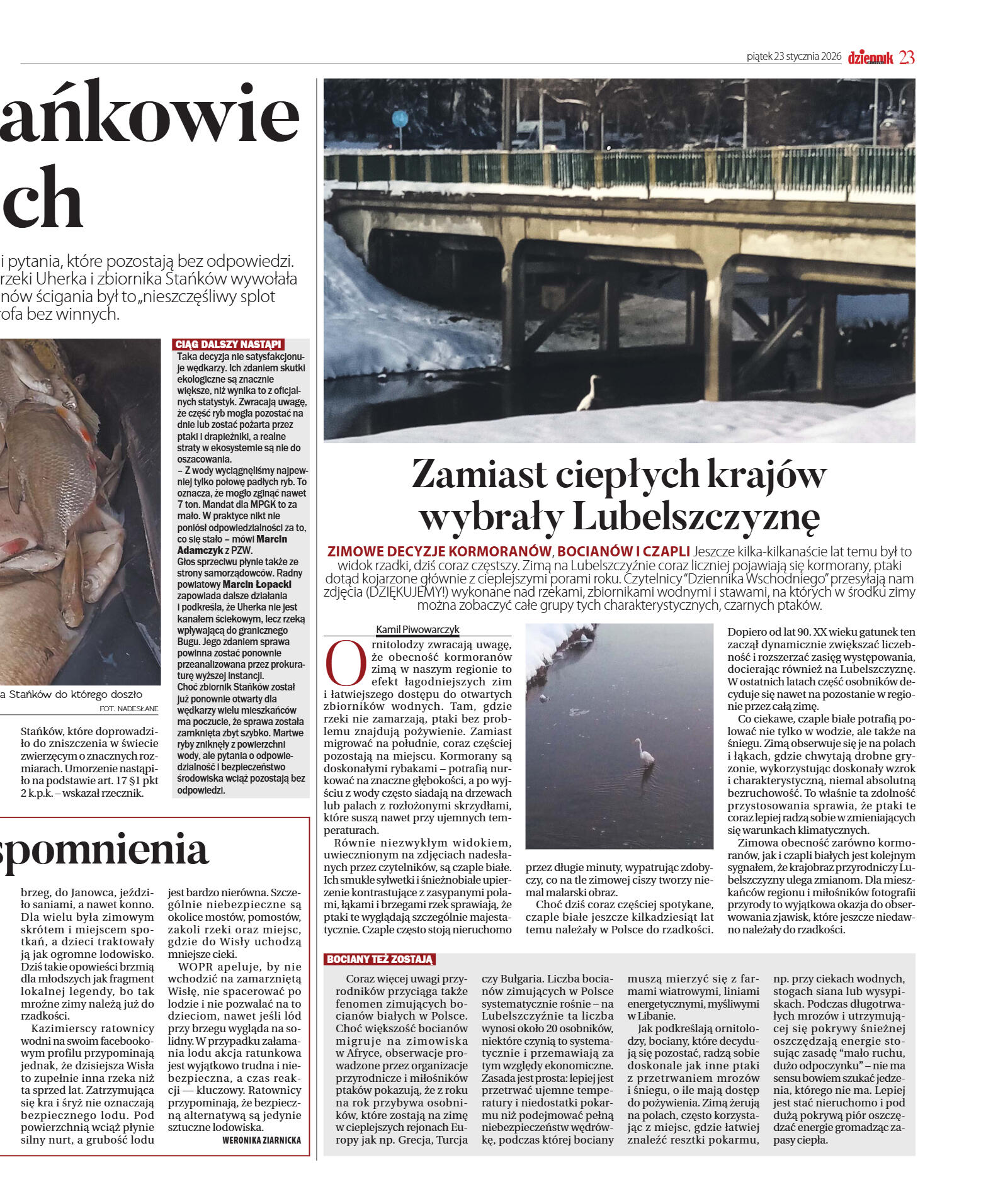 Wydanie główne - strona 31