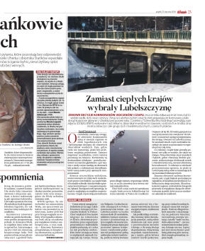 Wydanie główne - strona 31