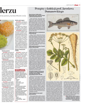 Wydanie główne - strona 39