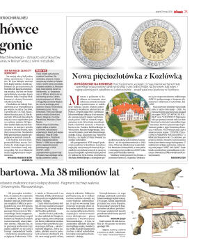 Wydanie główne - strona 25