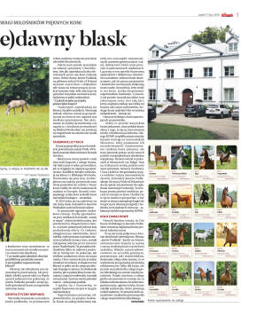 Wydanie główne - strona 7
