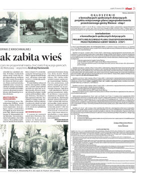 Wydanie główne - strona 31