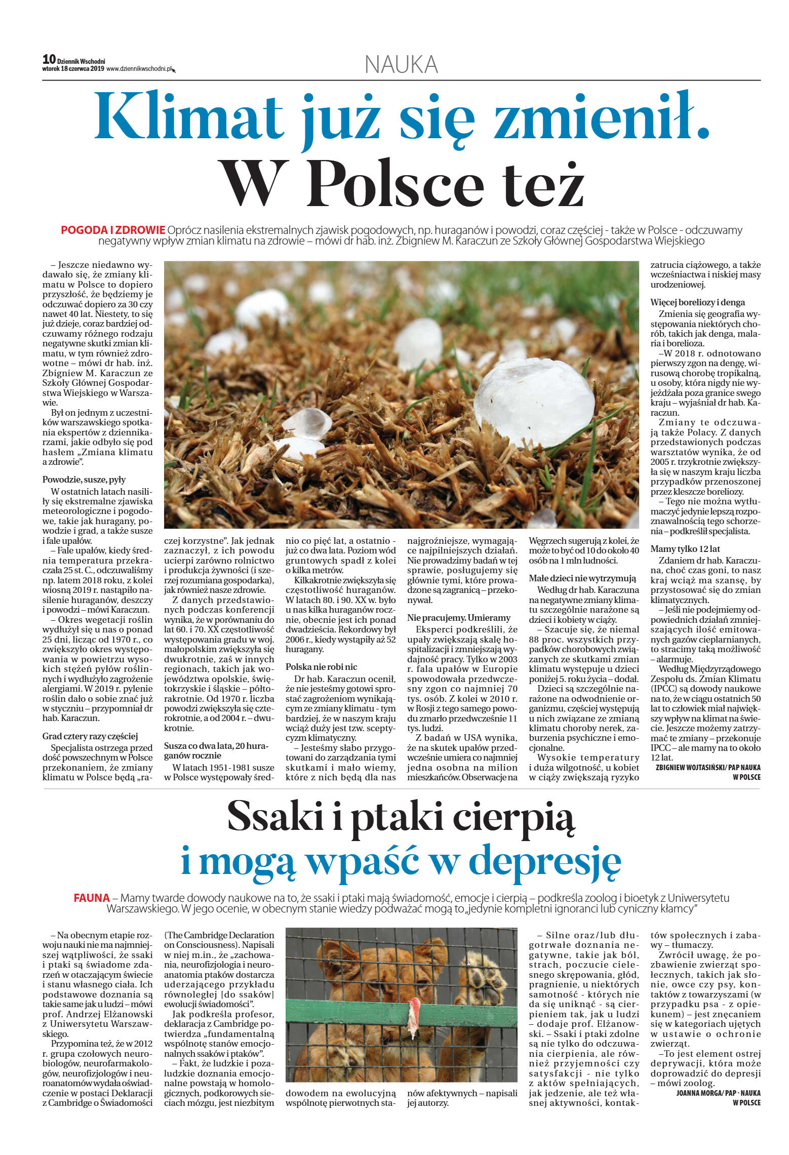 Wydanie główne - strona 10