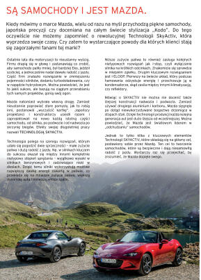 Złota Setka - strona 38