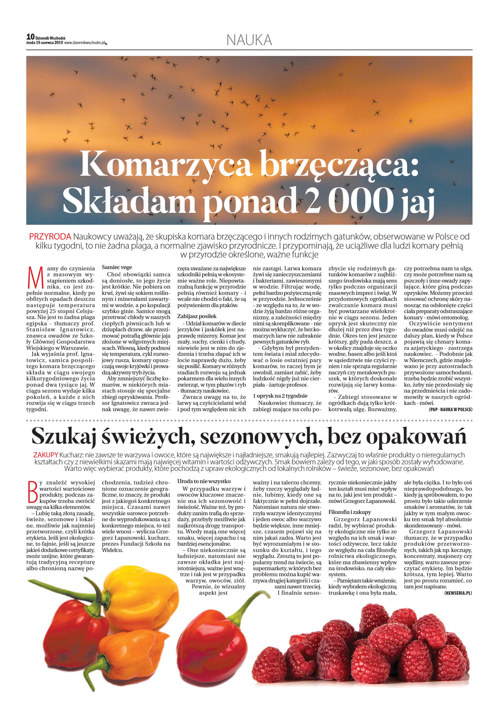 Wydanie główne - strona 10