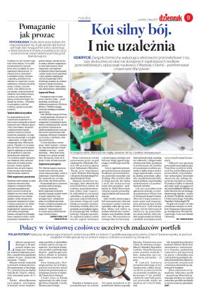 Wydanie główne - strona 11