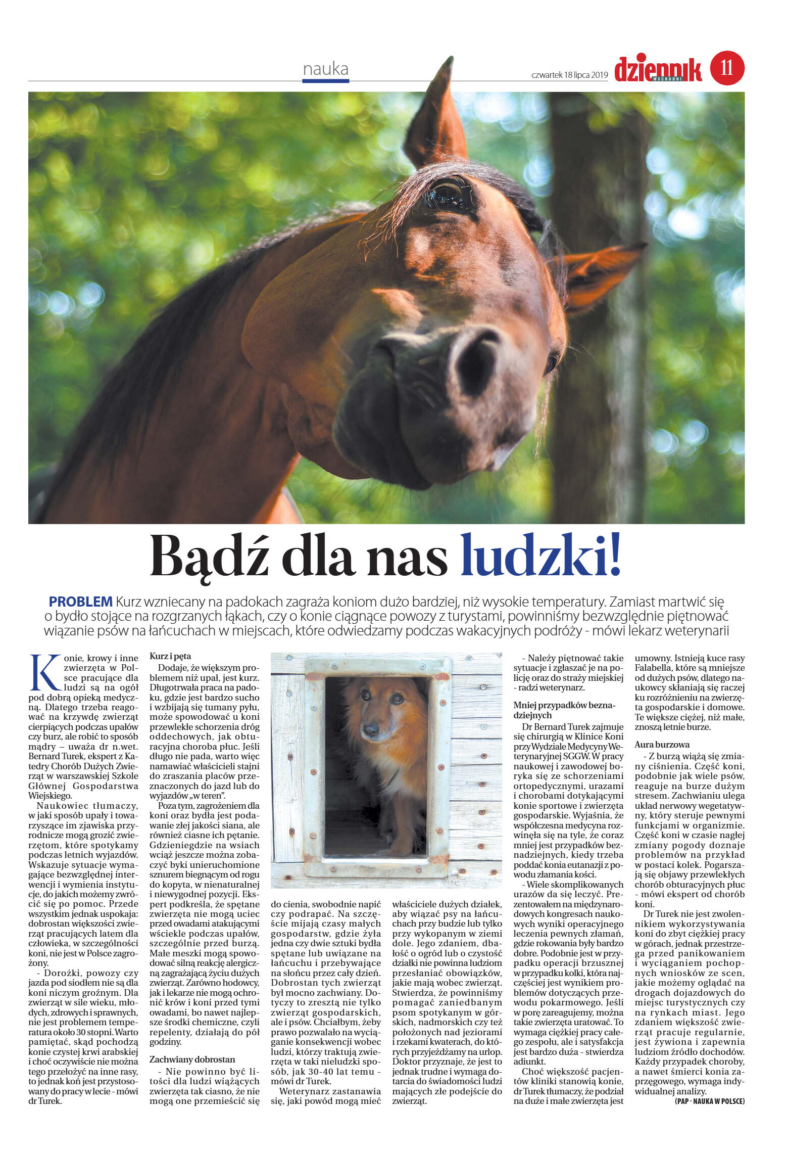 Wydanie główne - strona 11
