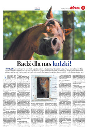 Wydanie główne - strona 11