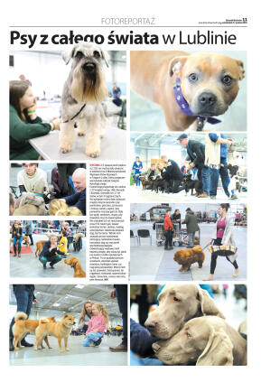 Dziennik Wschodni - strona 11