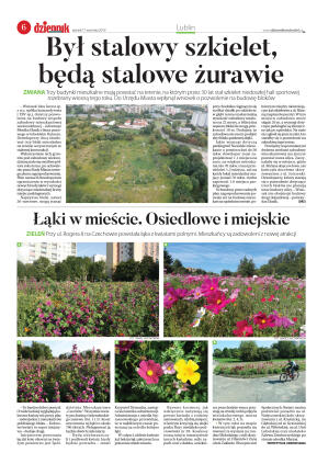 Wydanie główne - strona 6