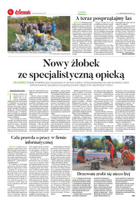 Wydanie główne - strona 6