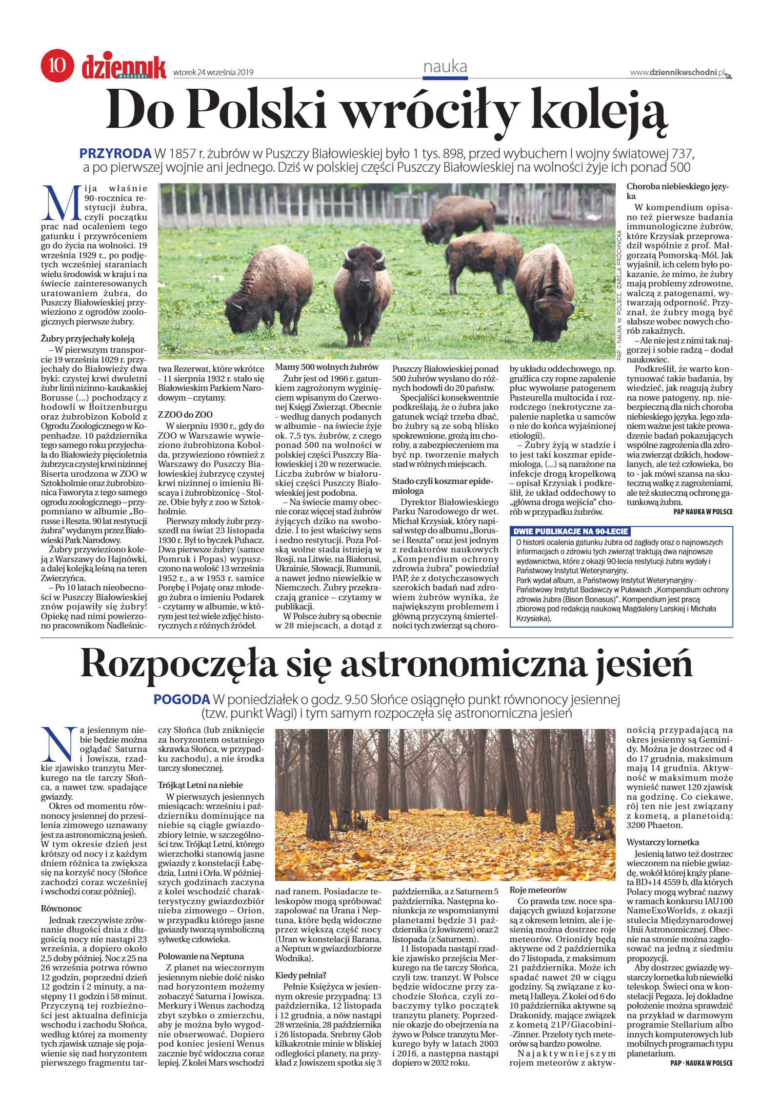 Wydanie główne - strona 10