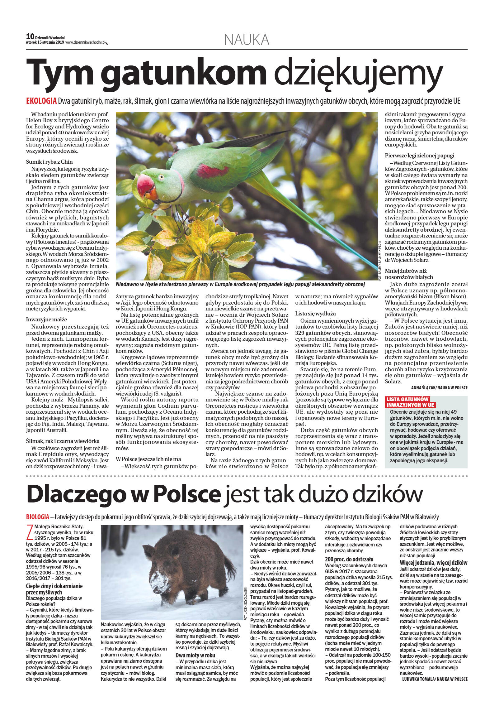 Dziennik Wschodni - strona 10