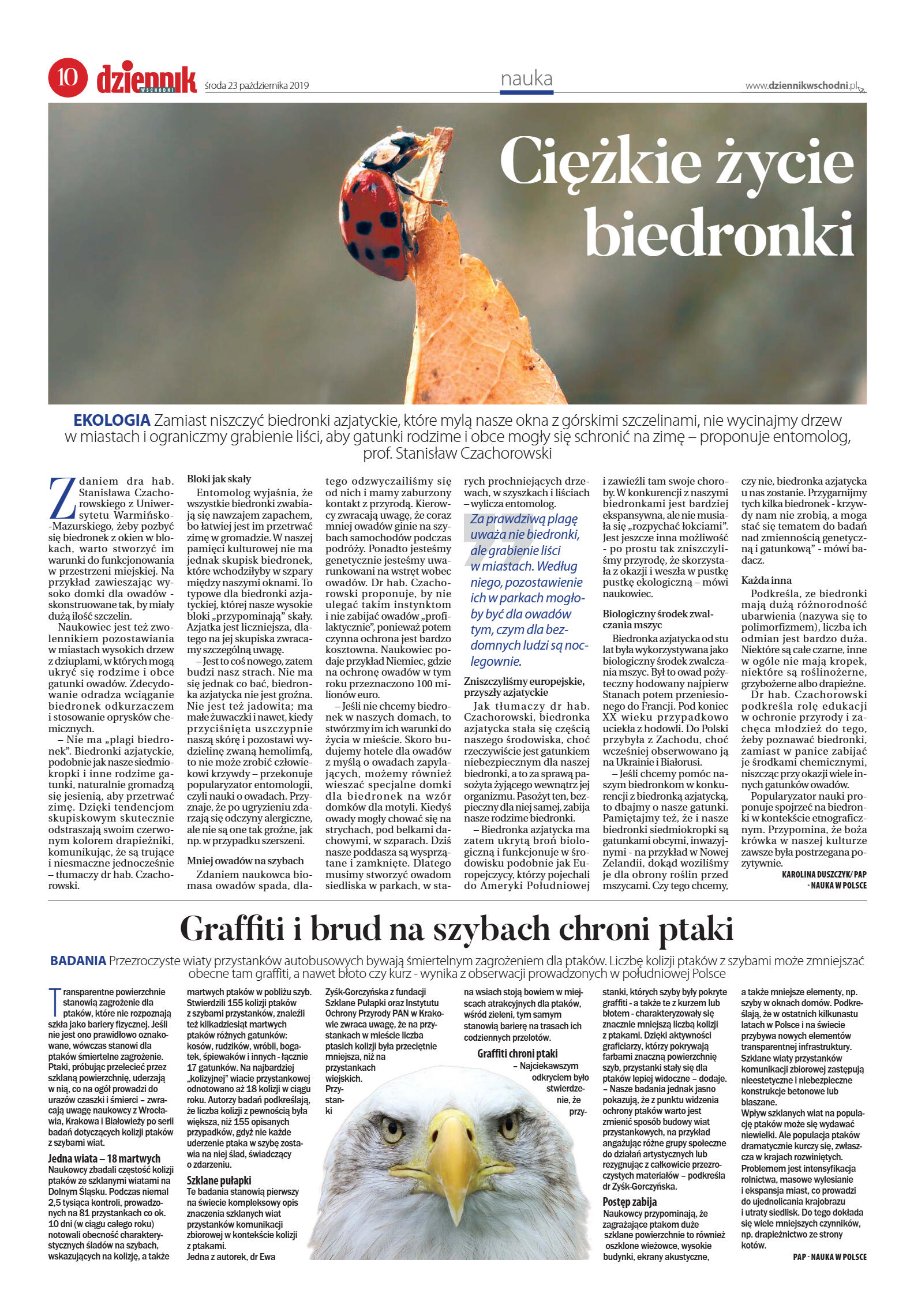 Wydanie główne - strona 10