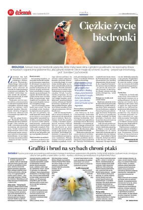 Wydanie główne - strona 10