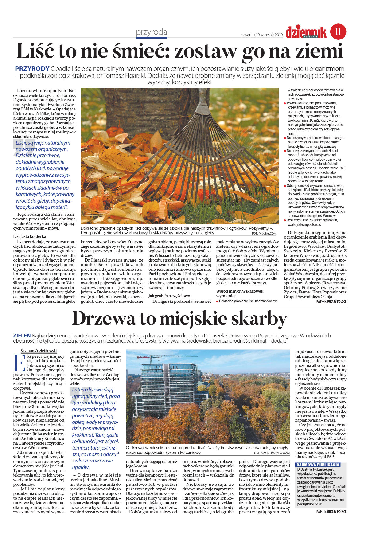 Wydanie główne - strona 11