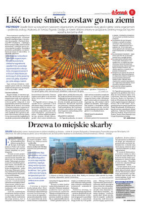 Wydanie główne - strona 11