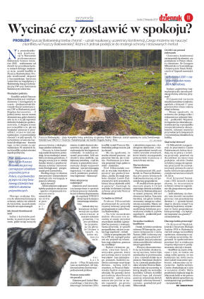 Wydanie główne - strona 11