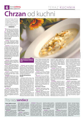 Teraz Puławy - strona 6