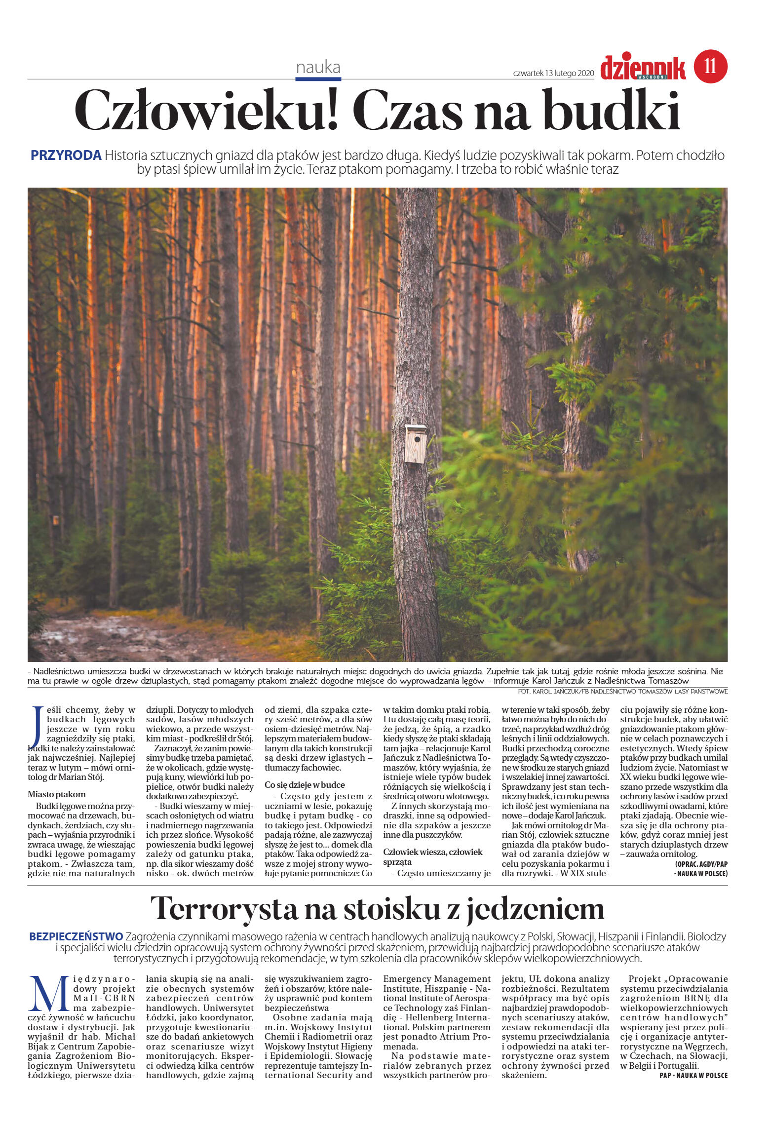 Wydanie główne - strona 11