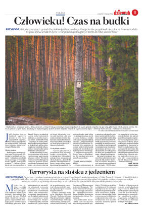 Wydanie główne - strona 11