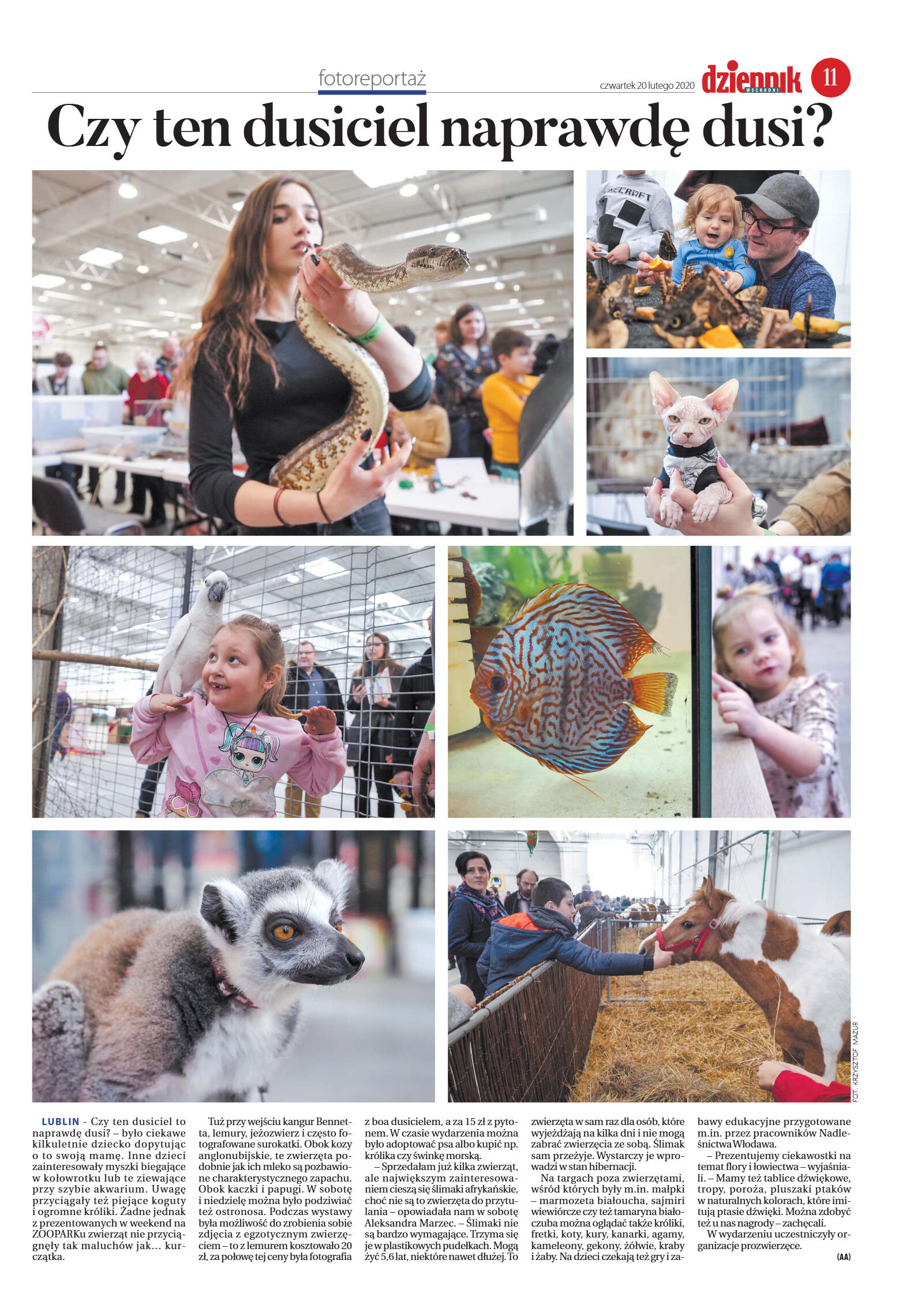 Wydanie główne - strona 11