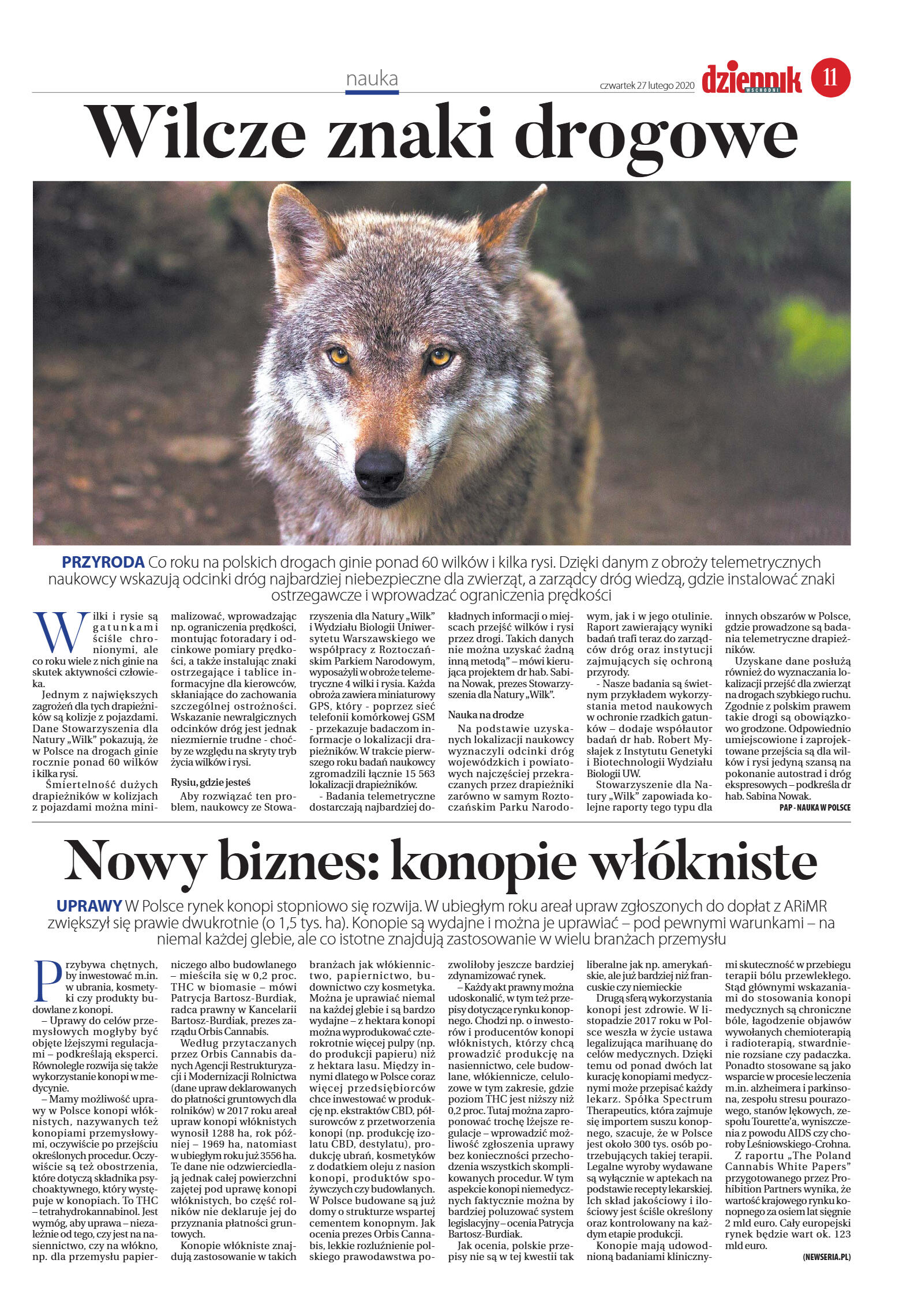 Wydanie główne - strona 11