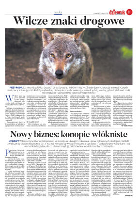 Wydanie główne - strona 11