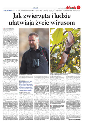 Wydanie główne - strona 11