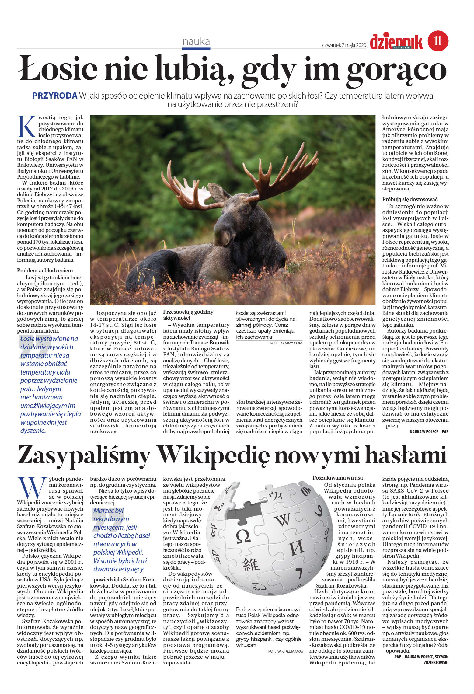 Wydanie główne - strona 11